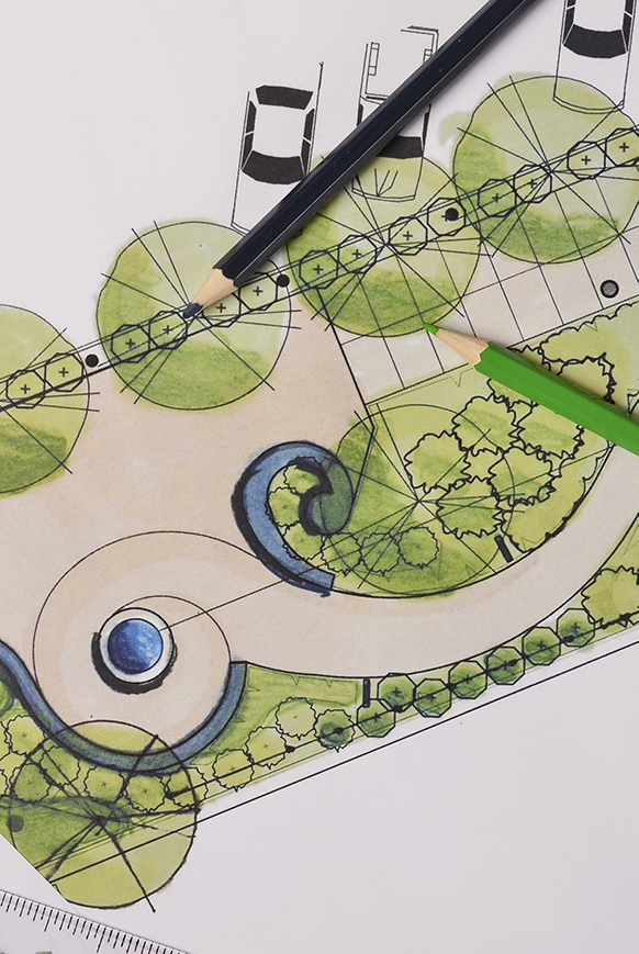 Close up of illustrated garden design blueprint